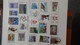 Collection Timbres Andorre (bonne Faciale En Euro) ** + Espagne ** + Nations Unies ** + Autres ** - Collections (with Albums)