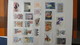 Collection Timbres Andorre (bonne Faciale En Euro) ** + Espagne ** + Nations Unies ** + Autres ** - Collections (with Albums)