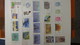 Delcampe - Collection Timbres Andorre (bonne Faciale En Euro) ** + Espagne ** + Nations Unies ** + Autres ** - Collections (with Albums)