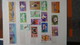 Delcampe - Collection Timbres Andorre (bonne Faciale En Euro) ** + Espagne ** + Nations Unies ** + Autres ** - Collections (with Albums)