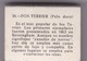 Delcampe - LOTTO DI 6 SCATOLE DI FIAMMIFERI - ANIMALI - ANNI 60 - Scatole Di Fiammiferi