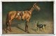 CPA - Carte Postale - Animaux - Cheval Et Chien - 1929 (B8953) - Chevaux