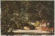 WESTERN AUSTRALIA WA Lighthouse ROTTNEST ISLAND Murray Views W30C Postcard C1970 - Other & Unclassified