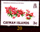 Delcampe - Cayman-057 - Emissione 1965-2001 (++/+/sg/o) MNH/LH/NG - UNO SOLO, A Scelta - Senza Difetti Occulti. - Cayman (Isole)