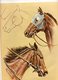 LIVRE    HORSES HEADS IN OILS AND PASTELS   BY DON SCHWARTZ - Otros & Sin Clasificación