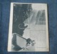 Delcampe - Magazine Soirées Du 3 Août 1934  (Editions REX)  La Tragédie De Tamines En 1914    -    Sambreville - 1900 - 1949