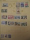 Delcampe - Ancient France And Colonies Stamps From Ancient Albums, See Pics! - Sammlungen