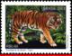 Ref. BR-3029B BRAZIL 2007 ANIMALS, FAUNA, ZOO, OUNCE,, MNH 1V Sc# 3029B - Raubkatzen