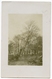 ENGLAND : ASH TREE BEING FELLED, 1910 (PRESTON / LIVERPOOL??) / ADDRESS - PRESTON, HAIGHTON / POSTMARK - LIVERPOOL EXCH. - Trees