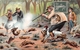 ¤¤   -   Illustrateur  -  Chasse , Chasseurs  - Chien , Lapins   -  ¤¤ - Chasse