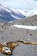 Delcampe - 6 AK Antarctica Antarktis * Forschungsstationen, Landschaften Und Norwegian Polar Vessel "Polar Queen" At Atka Bay * - Sonstige & Ohne Zuordnung