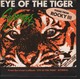 SURVIVOR SINGLE -EYE OF THE TIGER (THEME FROM ROCKY III) + TAKE YOU A SATURDAY - Hard Rock & Metal