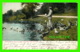 STONIEHAM, MA - MIDDLESEX FELLS PARK , FEEDING THE DUCKS - ANIMATED -  THE METROPOLITAN NEWS CO - - Autres & Non Classés