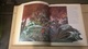 Delcampe - EEN TOLKIEN BESTIARIUM: David DAY – Geillustreerd Naslagwerk – 288 Pgs (22x28 Cent) - Illustrated Reference Work - Woordenboeken