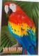 San Diego Zoo  Scarlet Macaw - San Diego