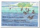 Marshalleilanden 1991, Postfris MNH, Birds ( Booklet, Carnet ) - Marshallinseln