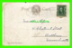 TIGRE - TIGER - PAUL C. KOEBER & CO - TRAVEL IN 1905 - UNDIVIDED BACK - - Tigres