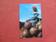 Young Calabash Vendor St Marc Road West Indies  Haiti  Ref 3428 - Haiti