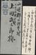 Japon YT 119 X2 CAD 6 12 7 Petit Texte - Cartas & Documentos