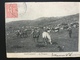 Font Romeu Le Troupeau 1905 Berger Chien Cheval Poulain Vaches - Autres & Non Classés