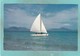 Small Post Card Of Lindeman Island,Great Barrier Reef,Queensland, Australia.,V103. - Cairns