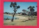 Modern Post Card Of Devonport, Tasmania, Australia..D22. - Other & Unclassified