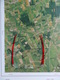 GROTE LUCHT-FOTO ZERKEGEM JABBEKE BEKEGEM SNELLEGEM In 1990 48x67cm KAART 1/10.000 ORTHOFOTOPLAN PHOTO AERIENNE R616 - Jabbeke