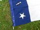 Delcampe - PAVILLON FRANCE MARINE NATIONALE CAPITAINE De VAISSEAU CHEF De DIVISION CVD  - Taille 6 - Flags