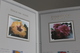 Delcampe - Feuillet Sur Soie/op Zijde - Floralies Gantoises IX - André Buzin - Timbres N° 2589/91 - + Ticket D'entrée - Feuilles Complètes & Feuillets