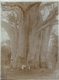 SUD EST AFRICAINE ROBINSON FRANCAISE   Forest, Xylology, Forestry 18*13 CM Fonds Victor FORBIN 1864-1947 - Afrique