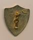 ITALIE - Insigne " Istruttore Di SCI E Alpinismo " - 3,6 Cm X 3 Cm. - Sonstige & Ohne Zuordnung