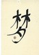 Calligraphie Chinoise - Les Deux Cartes - "Lumière" Et "Rêve" - Other & Unclassified