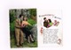 Delcampe - Lot De 8 Cartes.Couples. - Couples