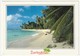 AK Barbados Bajan Impressions. A Picturesque Cove 1988. Postalisch Gelaufen Nach Düsseldorf. 2 Scans. 17x12 Cm. MR-16 - Barbados (Barbuda)