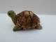 FEVE - FEVES -  "TORTUES" - UNE JOLIE PETITE TORTUE -     H : 1,5 Cm - L : 2,6 Cm - Animals