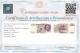 50000 LIRE GIAN LORENZO BERNINI II TIPO SERIE SOSTITUTIVA XE 25/07/2001 FDS - Other & Unclassified