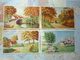 Paysages / Illustrations 12 Cartes - 1900-1949