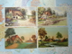 Paysages / Illustrations 12 Cartes - 1900-1949