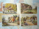 Paysages / Illustrations 12 Cartes - 1900-1949