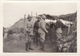 Photo 14-18 "en Allant Aux Lignes", Les ânes D'Algérie, Mulet (A211, Ww1, Wk 1) - Guerre 1914-18