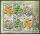 Belarus 2019 - Lichens, S/s MNH. Flora Licheni Lichen Korstmos Mushrooms Korstmossen Bielorussia/Biélorussie/Wit-Rusland - Bielorussia