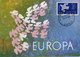 Chypre. Carte Maximum. Europa 1961 - Lettres & Documents
