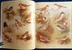 Delcampe - Archibald Thorburn's - BIRDS - The Complete Illustrated - Wordsworth Editions - ( 1997 ) . - Fauna