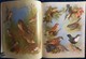 Delcampe - Archibald Thorburn's - BIRDS - The Complete Illustrated - Wordsworth Editions - ( 1997 ) . - Wildlife