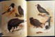 Delcampe - Archibald Thorburn's - BIRDS - The Complete Illustrated - Wordsworth Editions - ( 1997 ) . - Wildlife