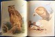 Delcampe - Archibald Thorburn's - BIRDS - The Complete Illustrated - Wordsworth Editions - ( 1997 ) . - Wildlife