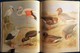 Delcampe - Archibald Thorburn's - BIRDS - The Complete Illustrated - Wordsworth Editions - ( 1997 ) . - Vita Selvaggia