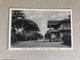 R. T. DI S. ROSSORE IL VIALE MAGGIORE CON LA VILLA  1934 - Pisa