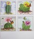 Tajikistan  2018  Cacti ( Butterflies,  Bees)  4 V  IMPERFORATED  MNH - Tadschikistan