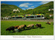 ITALIA - VAL  VENOSTA        TRAIN - ZUG-TREIN- -TRENI- GARE -BAHNHOF- STATION- STAZIONE-    2  SCAN     (NUOVA) - Treni